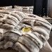 Set Lenjerie Pat Cocolino cu Blăniță Pufoasă Alb-Vernil – 4 Piese BNY4